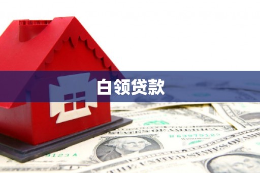 河东白领贷款