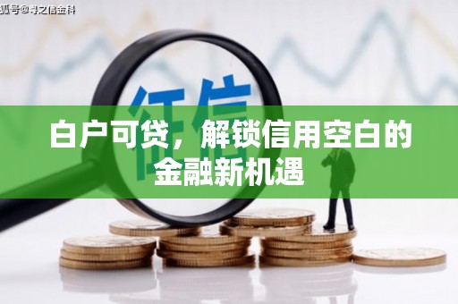 河东白户可贷，解锁信用空白的金融新机遇