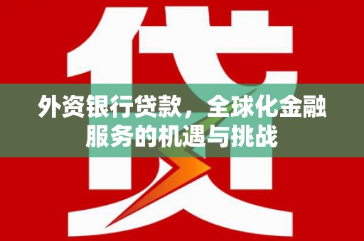 河东外资银行贷款，全球化金融服务的机遇与挑战