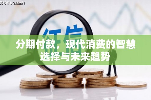 河东分期付款，现代消费的智慧选择与未来趋势