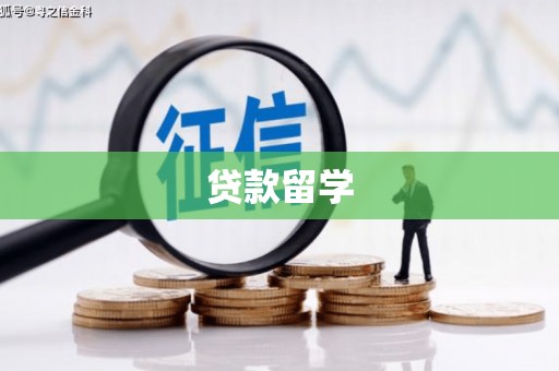 河东贷款留学