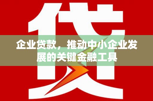 河东企业贷款，推动中小企业发展的关键金融工具