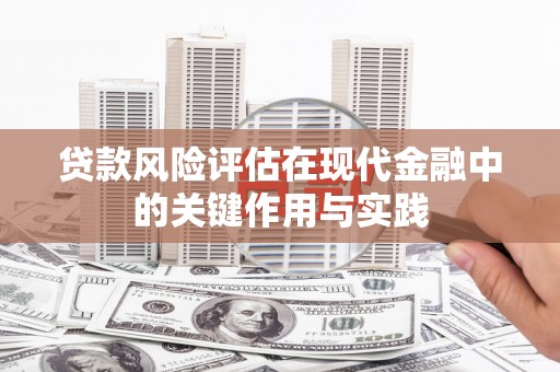 河东贷款风险评估在现代金融中的关键作用与实践