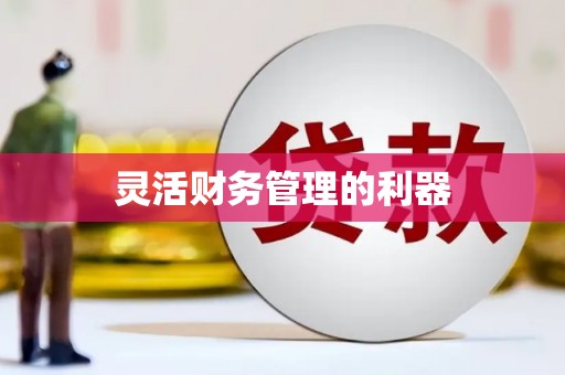 河东灵活财务管理的利器