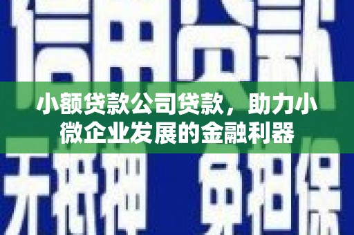 河东小额贷款公司贷款，助力小微企业发展的金融利器