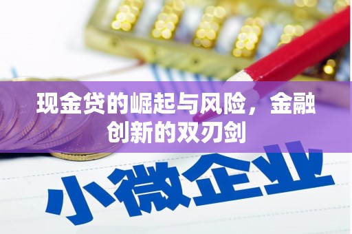 河东现金贷的崛起与风险，金融创新的双刃剑
