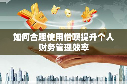 河东如何合理使用借呗提升个人财务管理效率