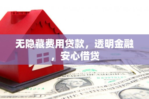 河东无隐藏费用贷款，透明金融，安心借贷
