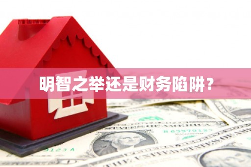河东明智之举还是财务陷阱？