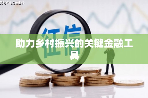 河东助力乡村振兴的关键金融工具