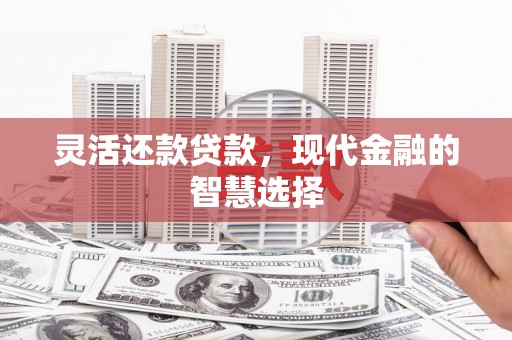 河东灵活还款贷款，现代金融的智慧选择