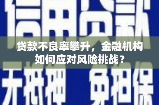 河东贷款不良率攀升，金融机构如何应对风险挑战？