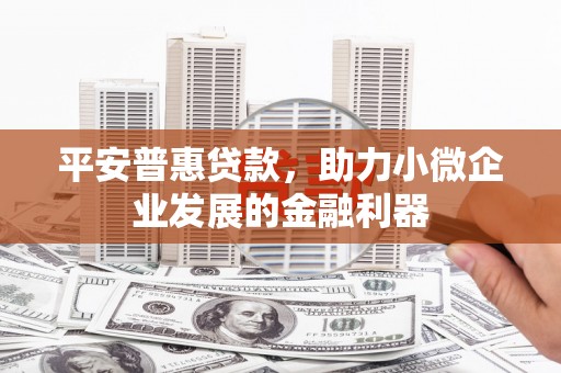 河东平安普惠贷款，助力小微企业发展的金融利器
