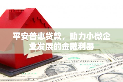 河东平安普惠贷款，助力小微企业发展的金融利器