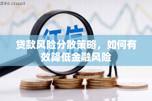 河东贷款风险分散策略，如何有效降低金融风险