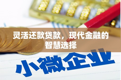 河东灵活还款贷款，现代金融的智慧选择