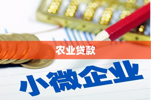 河东农业贷款