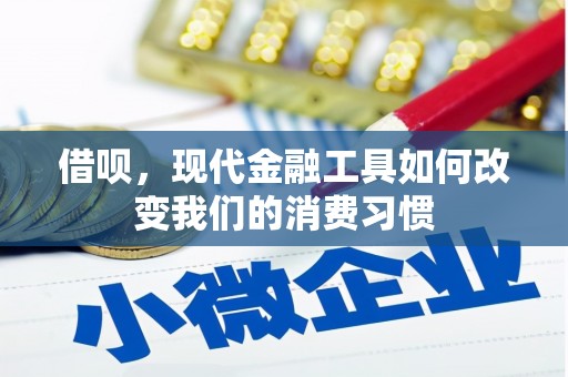 河东借呗，现代金融工具如何改变我们的消费习惯