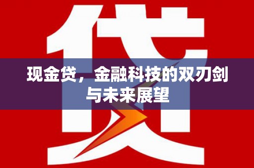 河东现金贷，金融科技的双刃剑与未来展望