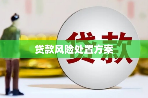 河东贷款风险处置方案