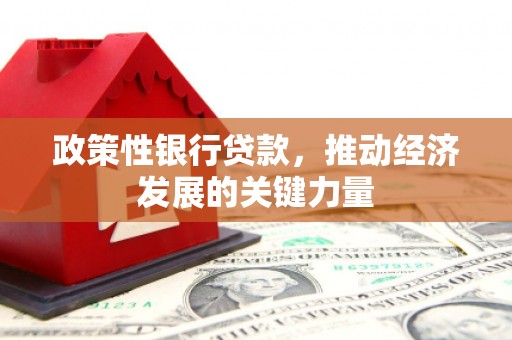 河东政策性银行贷款，推动经济发展的关键力量