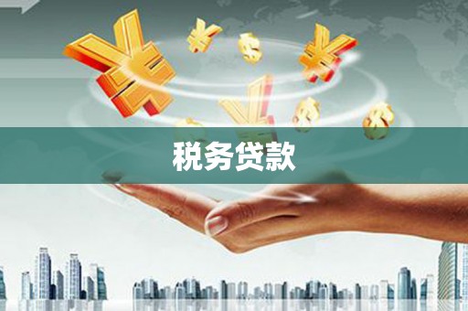 河东税务贷款