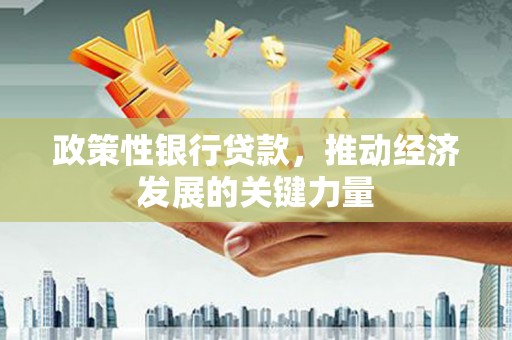 河东政策性银行贷款，推动经济发展的关键力量