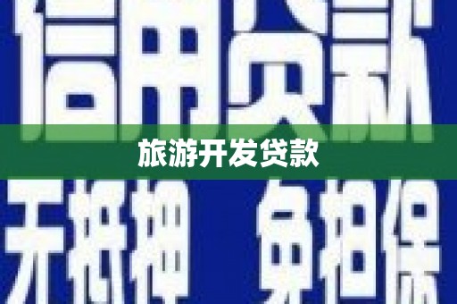 河东旅游开发贷款