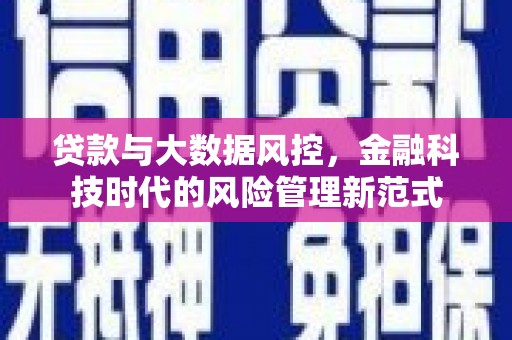 河东贷款与大数据风控，金融科技时代的风险管理新范式