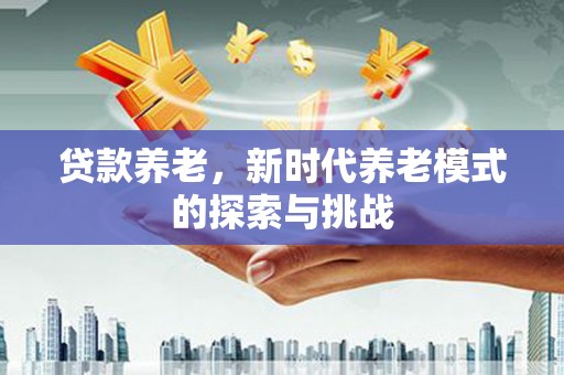 河东贷款养老，新时代养老模式的探索与挑战