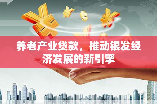 河东养老产业贷款，推动银发经济发展的新引擎