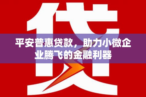 河东平安普惠贷款，助力小微企业腾飞的金融利器
