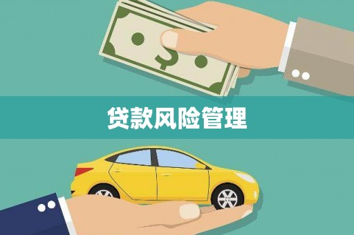 河东贷款风险管理