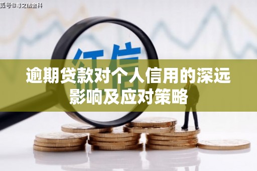 河东逾期贷款对个人信用的深远影响及应对策略