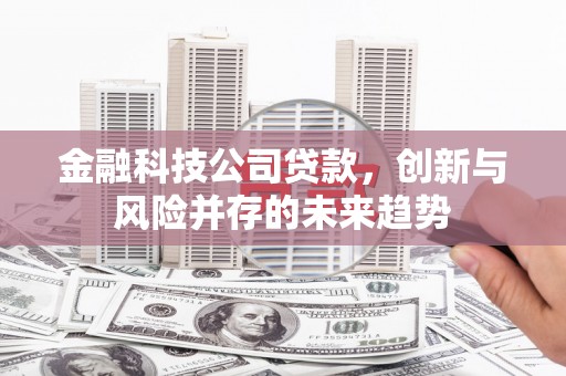 河东金融科技公司贷款，创新与风险并存的未来趋势