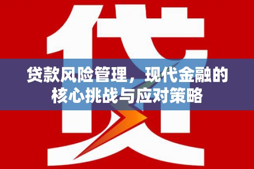 河东贷款风险管理，现代金融的核心挑战与应对策略