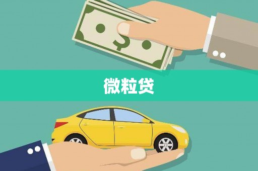 河东微粒贷