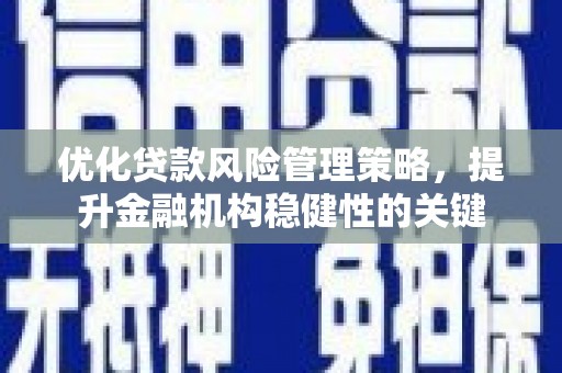 河东优化贷款风险管理策略，提升金融机构稳健性的关键