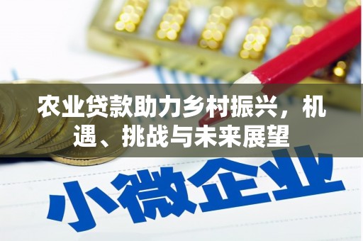 河东农业贷款助力乡村振兴，机遇、挑战与未来展望