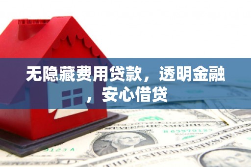 河东无隐藏费用贷款，透明金融，安心借贷