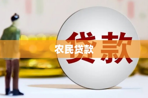 河东农民贷款