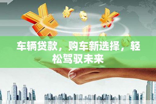 河东车辆贷款，购车新选择，轻松驾驭未来