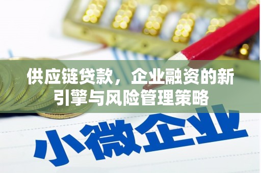 河东供应链贷款，企业融资的新引擎与风险管理策略