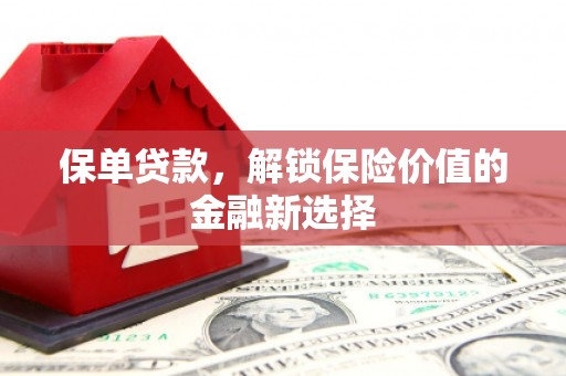 河东保单贷款，解锁保险价值的金融新选择