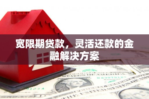 河东宽限期贷款，灵活还款的金融解决方案