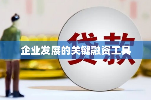 河东企业发展的关键融资工具