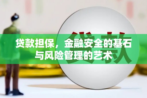 河东贷款担保，金融安全的基石与风险管理的艺术