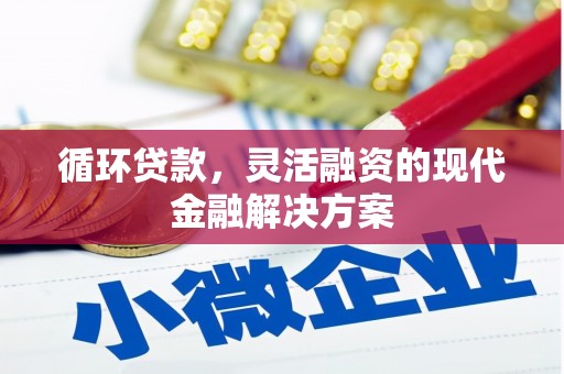 河东循环贷款，灵活融资的现代金融解决方案