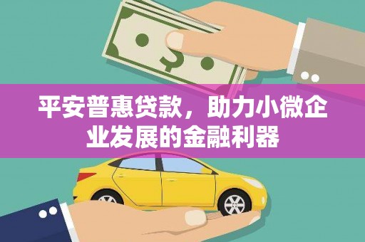 河东平安普惠贷款，助力小微企业发展的金融利器