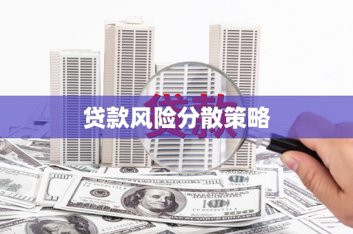 河东贷款风险分散策略